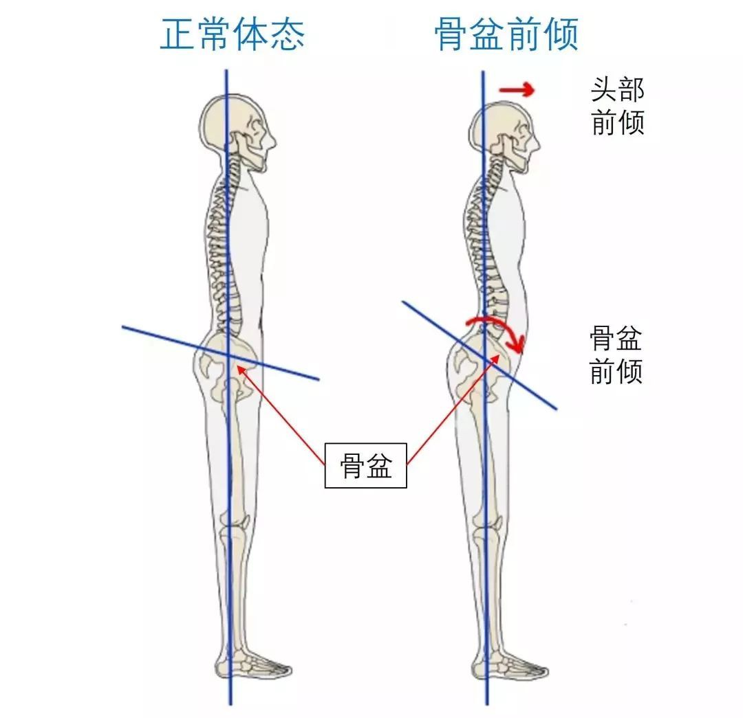 6a1b17c2ec9f9aab179ffb64861333f2.png