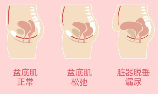 微信图片_20220323104757.png