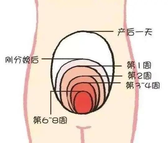 微信图片_20220331092841.jpg