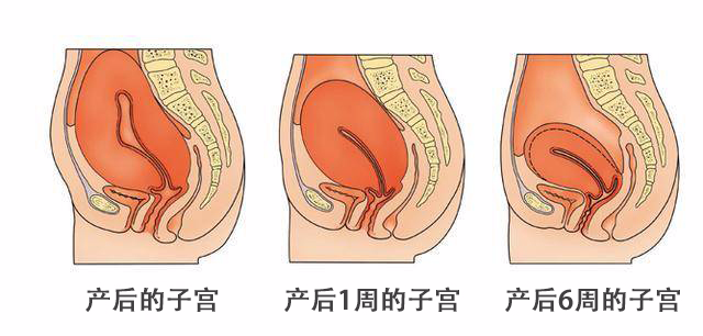 微信图片_20220331092848.png