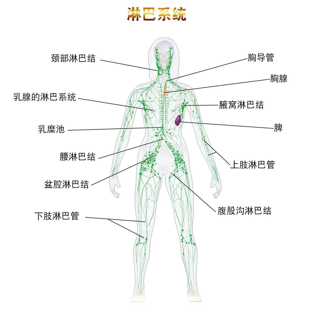微信图片_20220616095303.png