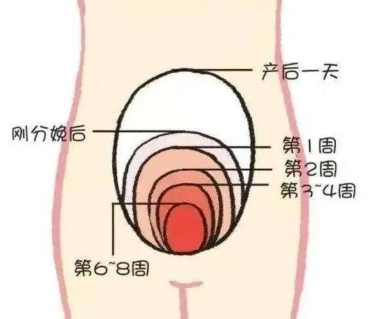 微信图片_20220817111134.png